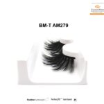 BM-T AM279